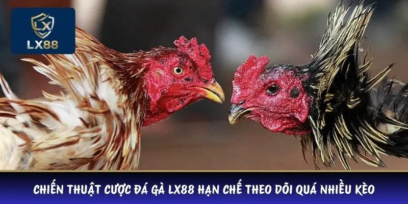 Chiến thuật cược đá gà LX88 hạn chế theo dõi quá nhiều kèo
